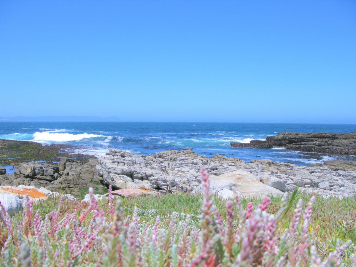 Beachfront Cottage - Hermanus Whale View Dış mekan fotoğraf