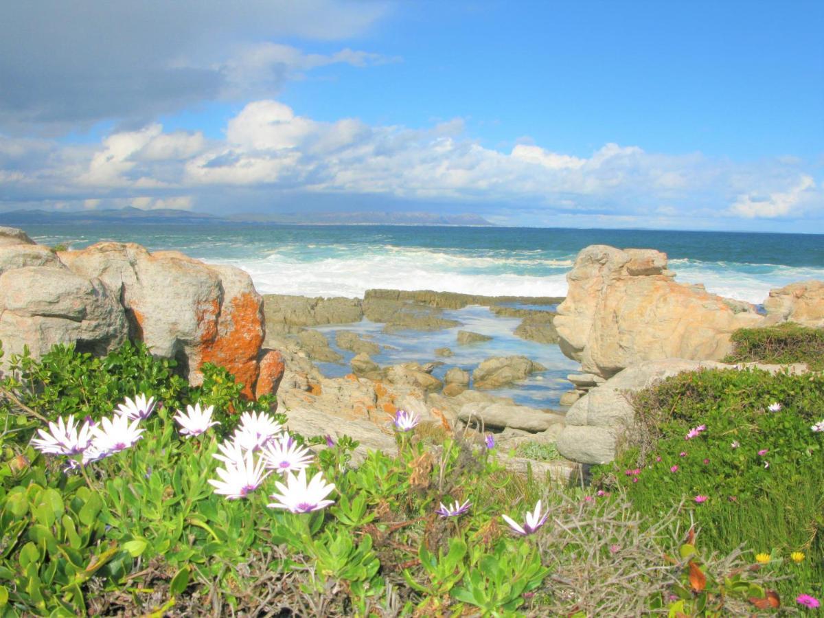 Beachfront Cottage - Hermanus Whale View Dış mekan fotoğraf