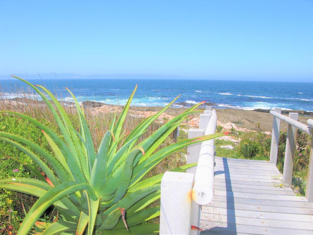 Beachfront Cottage - Hermanus Whale View Dış mekan fotoğraf