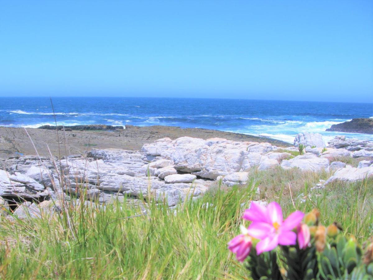 Beachfront Cottage - Hermanus Whale View Dış mekan fotoğraf