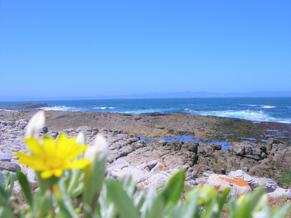 Beachfront Cottage - Hermanus Whale View Dış mekan fotoğraf